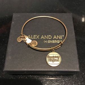 Alex and ani Completely Blessed charm bangle